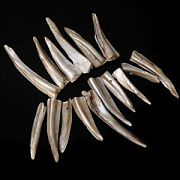 Бусина из ракушки, "Спайк", цвет бежевый, размерный микс, стренд 37 см