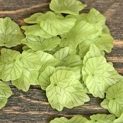 Подвеска акриловая "Кленовый лист", цвет лайма,  24x22.5x3 мм