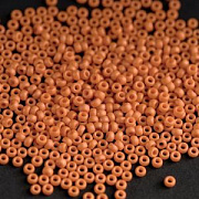 Бисер японский MIYUKI Round Rocailles 11/0 RR-2313 (уп 5 г)