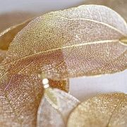 Подвеска металлическая "Ажурный лист", цвет светлое золото, 85-55x40-25x1 мм